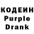 Codein Purple Drank Amira Bustami