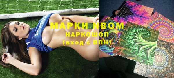 крисы Елабуга