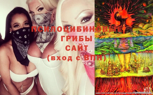 spice Нягань