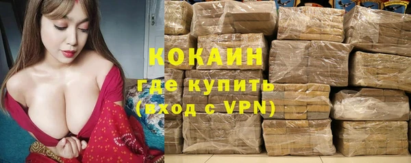 индика Елизово