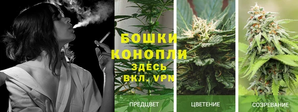 spice Нягань
