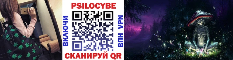 omg ссылки  Киров  Псилоцибиновые грибы Cubensis 