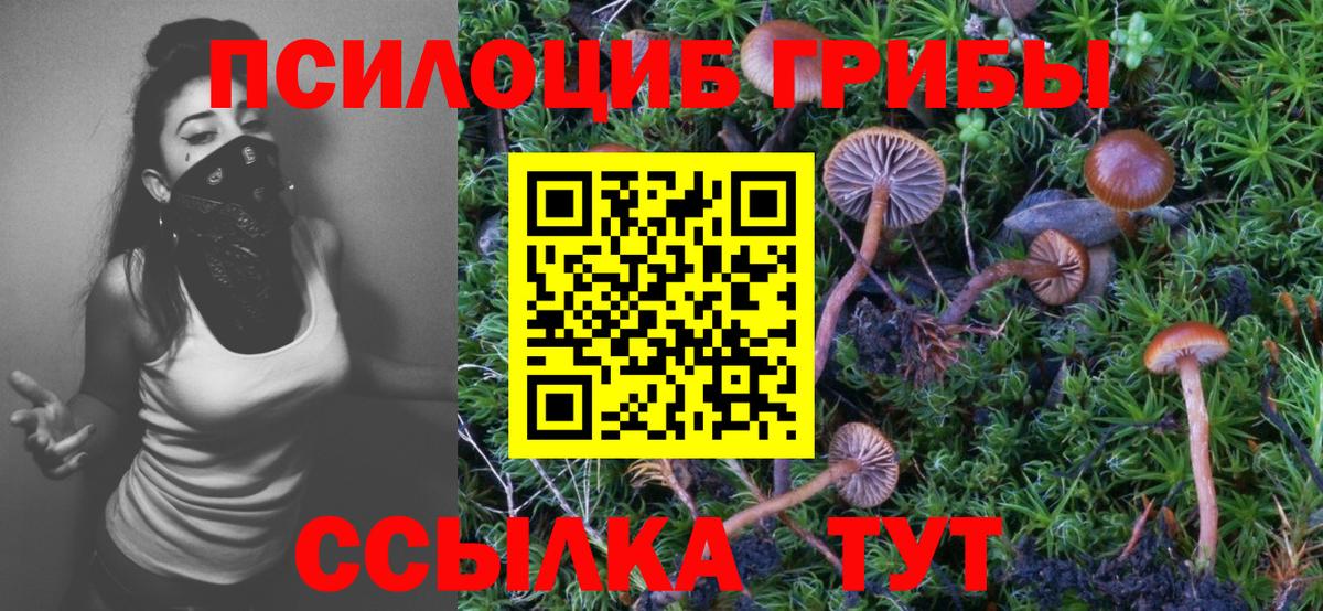 Псилоцибиновые грибы Psilocybine cubensis  Вход с VPN  Киров 