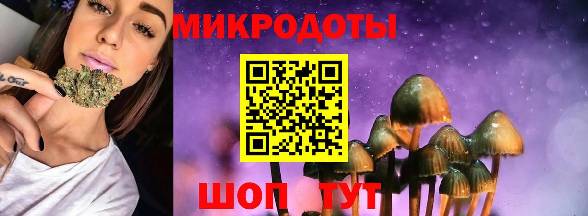 Псилоцибиновые грибы мухоморы Киров
